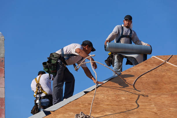 Best Metal Roofing Contractor  in Burke, VA
