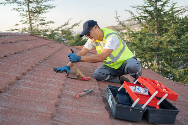 Professional Roofing Contractor in Burke, VA