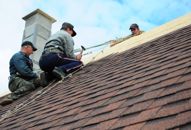 Best Roof Leak Repair  in Burke, VA